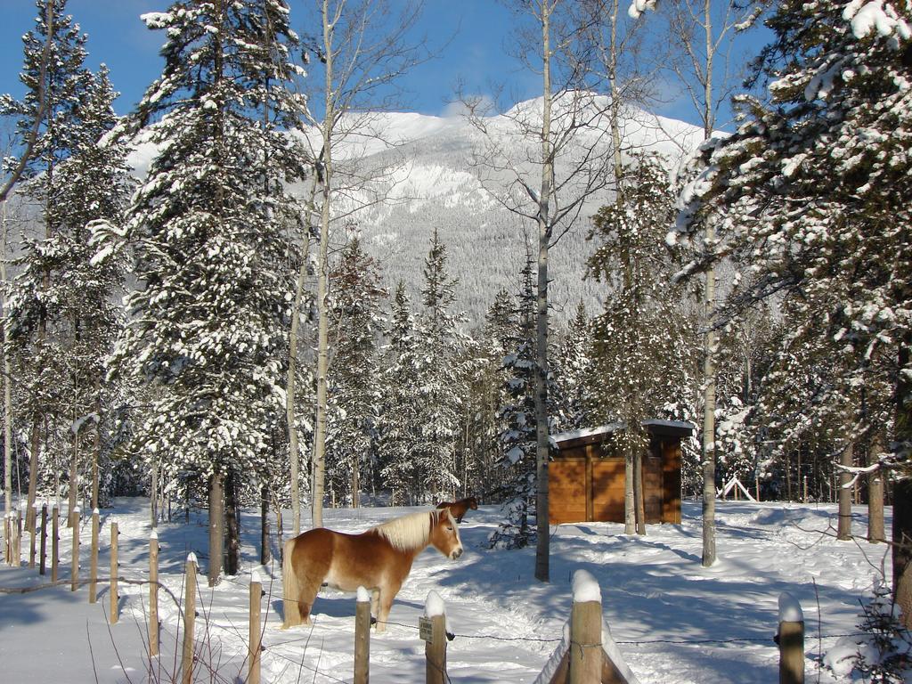 Mica Mountain Lodge & Log Cabins Tête Jaune Kültér fotó